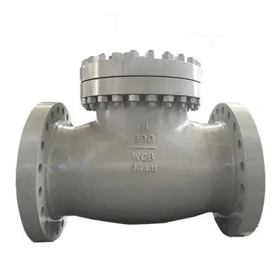 SWING CHECK VALVE